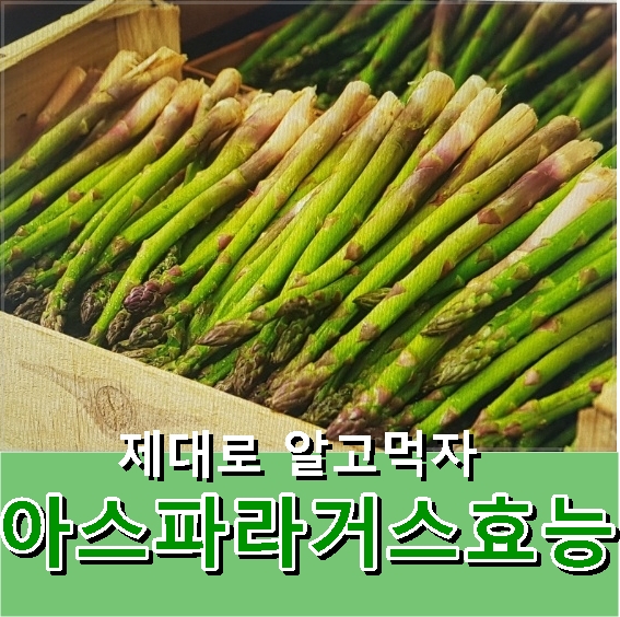  가니쉬 음식으로 먹는 아스파라거스효능 알아보세요!