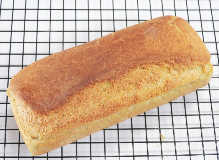 통밀빵 만들기, 무반죽 100% 통밀빵