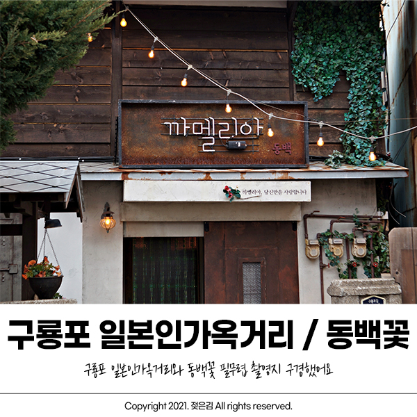 구룡포 일본인 가옥거리 동백꽃 필 무렵 촬영지 다녀왔어요 구룡포 일본인 가옥거리 동백꽃 필 무렵 촬영지 다녀왔어요