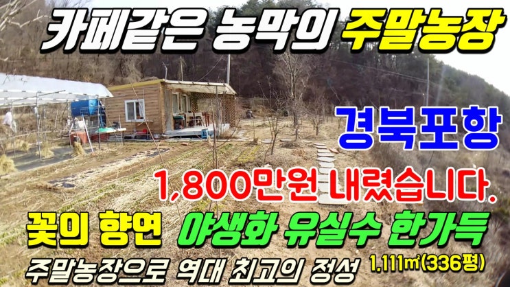 포항부동산 포항토지매매-고급스런 농막 주말농장-기계면 계전리 포항부동산 포항토지매매-고급스런 농막 주말농장-기계면 계전리