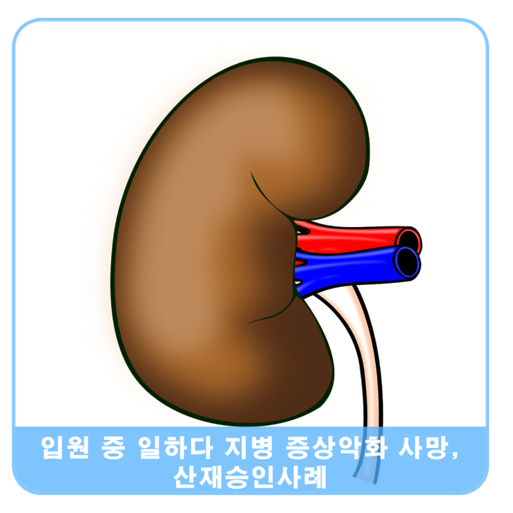  신증후군 입원 도중 증세악화 사망… 업무상재해 승인사례