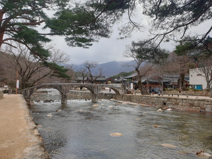 양산 여행- 홍매화 구경하러 봄 소풍을 가자~