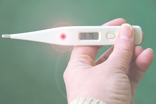  면역검사가 실시되는 시기는 언제일까