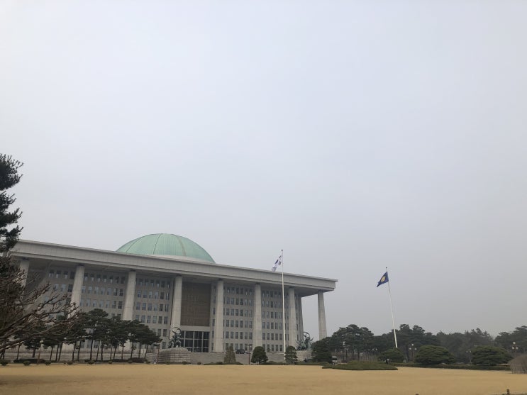  국회 의원실 인턴 면접 후기 (feat. 내일부터 출근)