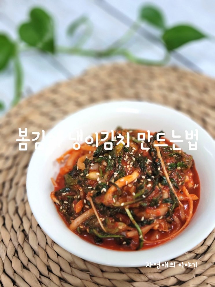  상큼한 봄김치 냉이김치 만드는법