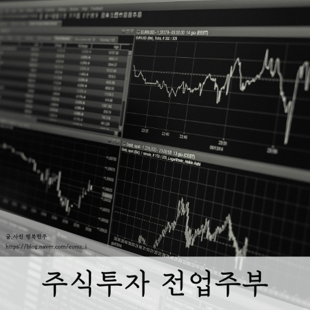  주식투자 전업주부 지금 계좌상황은