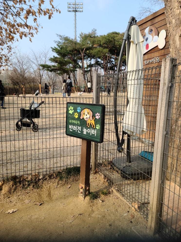  보라매공원 애견,반려견 놀이터 개장