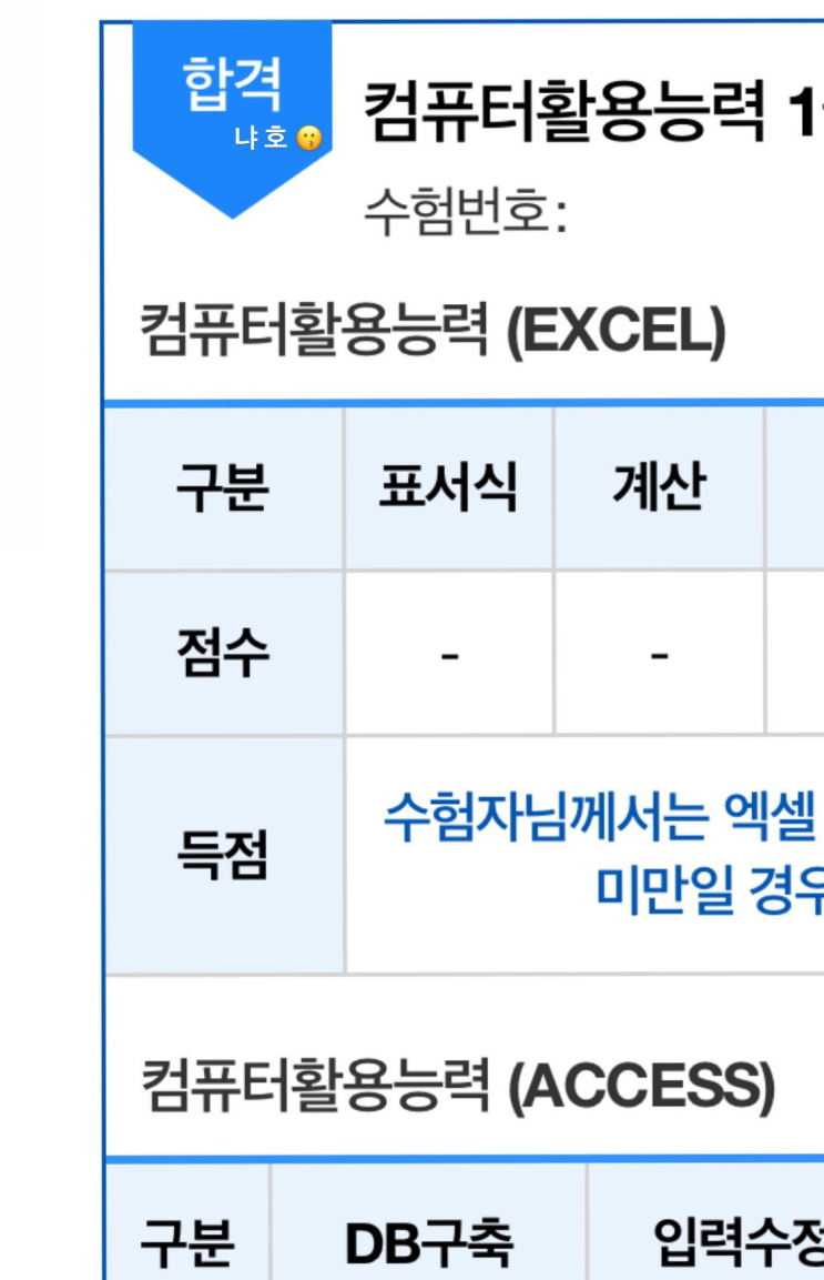 [컴퓨터활용능력 1급] 실기 공부방법 & 재채점, 이의제기 방법 & 합격후기