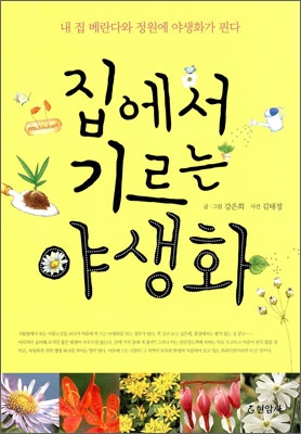 집에서 기르는 야생화 / 글‧그림 강은희, 사진 김태정 / 현암사