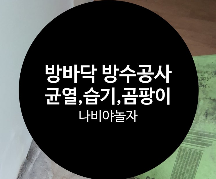  성동구 왕십리 2층 주택 보일러 누수로 방바닥 벽면 균열, 습기, 곰팡이 방지 공사 / 나비야놀자