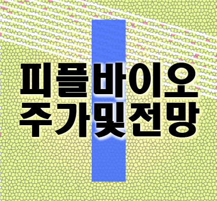  피플바이오 주가 및 전망