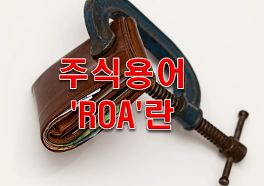  주식용어 'ROA'란?