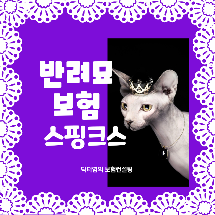  반려묘보험 스핑크스를 위한 메리츠 고양이보험료는 얼마