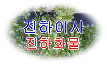  진하용달 간절곶 월내 운송. 