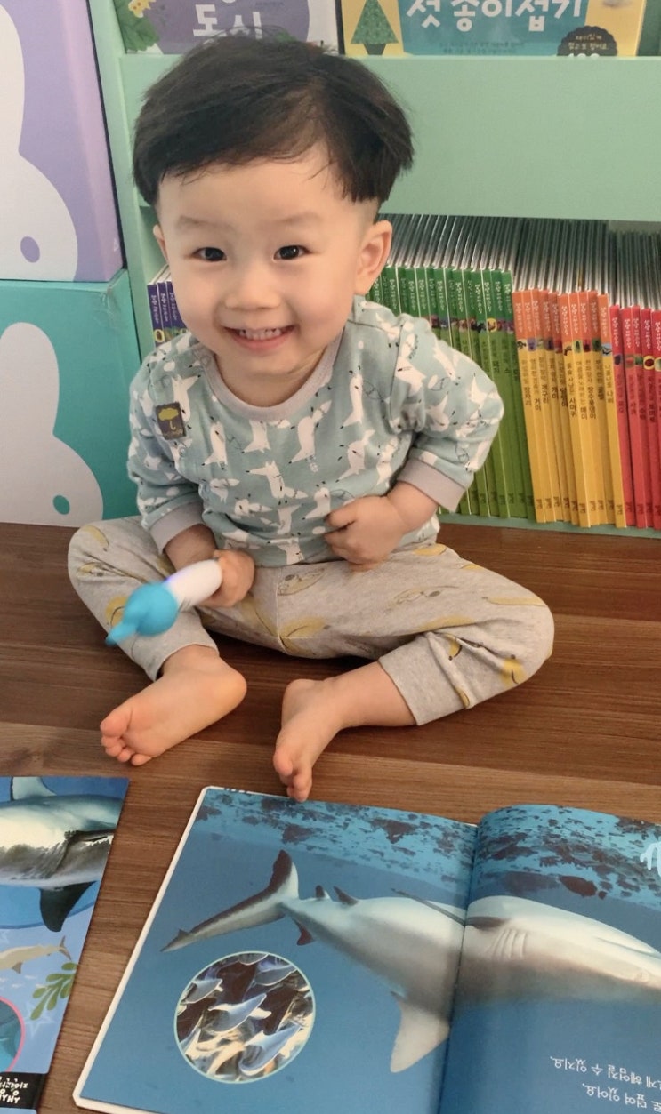  유아전집 자연관찰책으로 상어에 대한 호기심이 풀렸어요