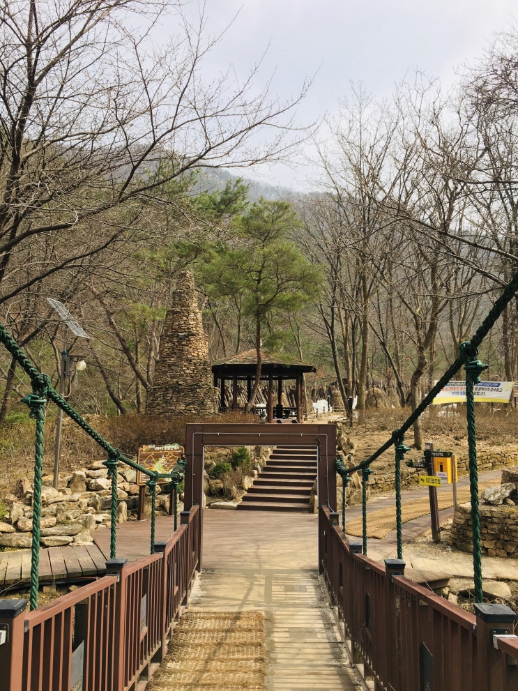  [대전 상소동] 나들이!! 상소동 산림욕장