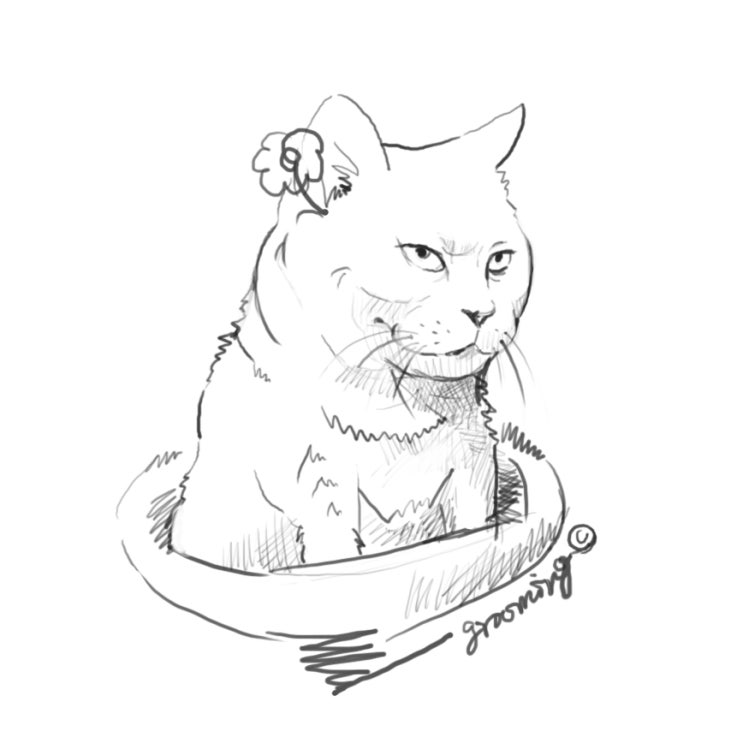  [문득 sketch] 표정이 와닿아서...(고양이그림)