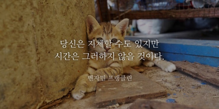  짧은 명언 모음