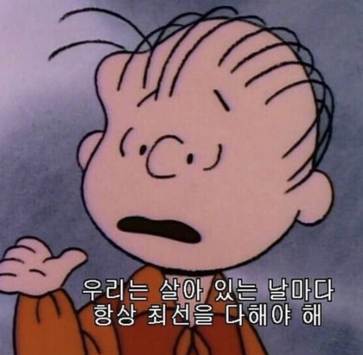  3월 보름 동안의 일상