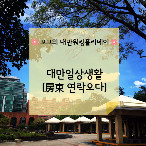  [대만워홀] 평범한 하루하루