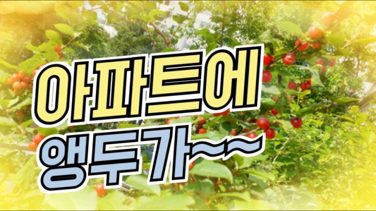 새봄에 화단정리 새봄에 화단정리