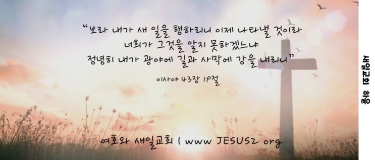 새일교회 | 죄를 없이 하려고 나타나신 예수 새일교회 | 죄를 없이 하려고 나타나신 예수