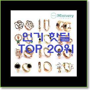  선물같은 귀걸이 BEST 판매 순위 20위