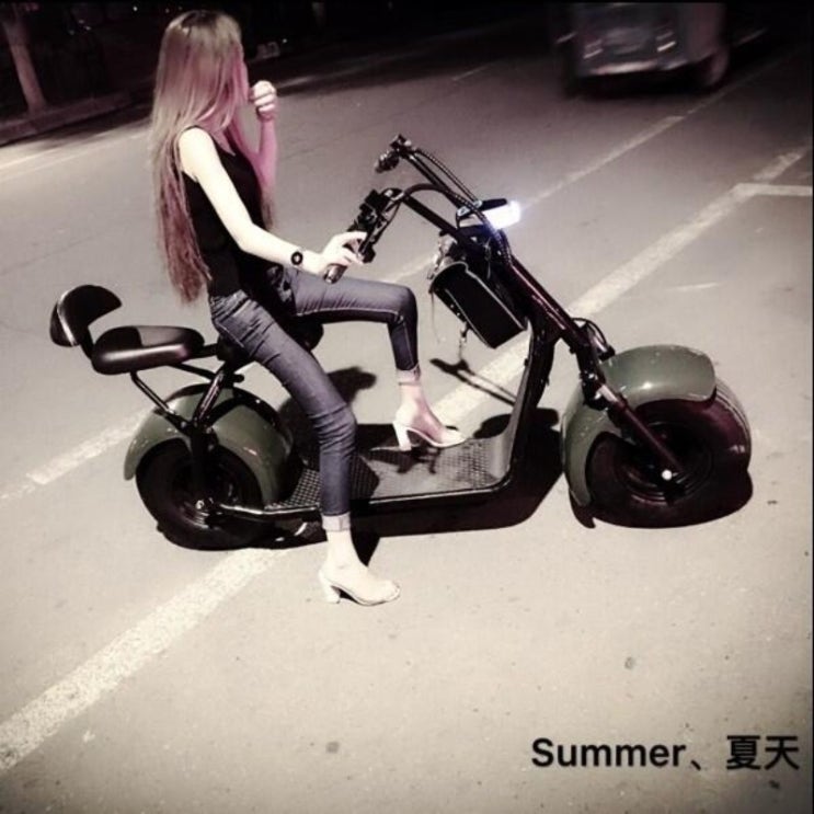 인기있는 STOTER 레인저 2인승 할리전동스쿠터 60km 2000W ··· 인기있는 STOTER 레인저 2인승 할리전동스쿠터 60km 2000W ···
