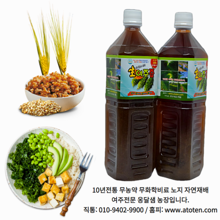  당뇨에 좋은 음식 과일 차 꿀팁!