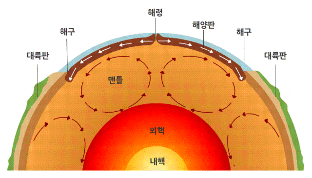  판 구조론의 정립 과정