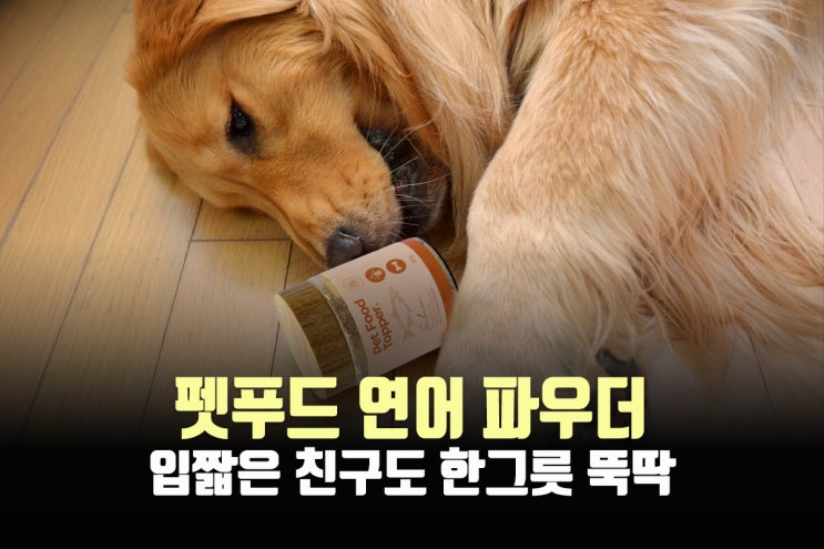 강아지오메가3 매드머츠 연어파우더로 해결, 사료안먹는강아지 추천!