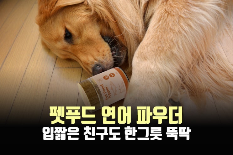  강아지오메가3 매드머츠 연어파우더로 해결, 사료안먹는강아지 추천!