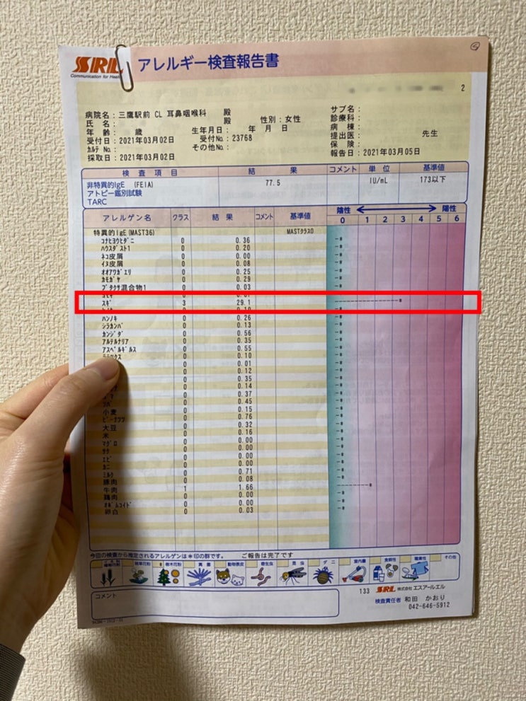  [일본 미타카] 이비인후과에서 꽃가루 알르레기 카훈쇼 검사 결과