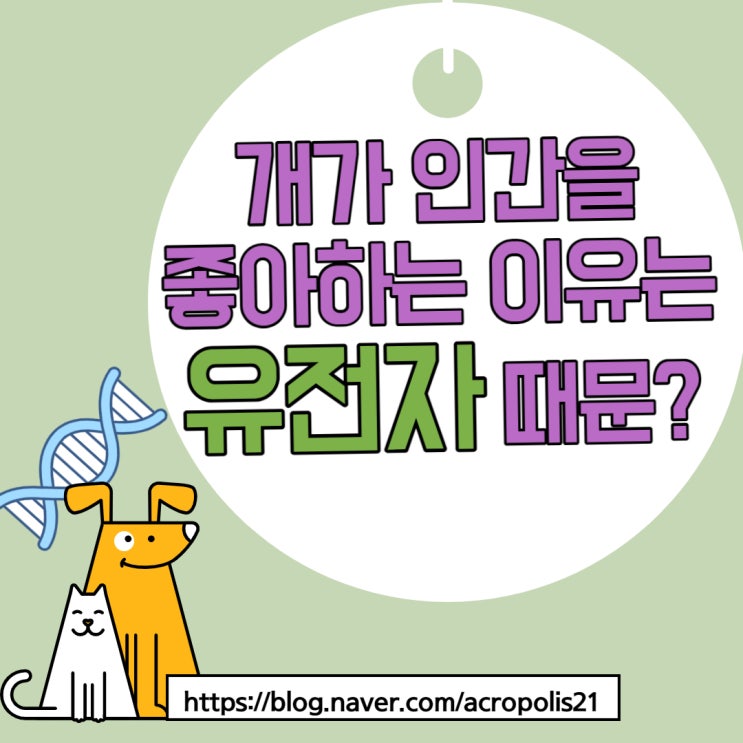  개가 인간을 좋아하는 이유는 유전자 때문?