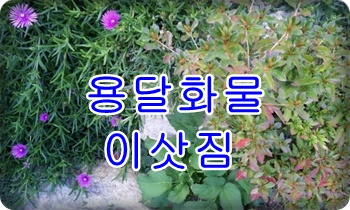  외동용달 입실 모화 출발.