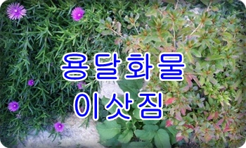 외동용달 입실 모화 출발.