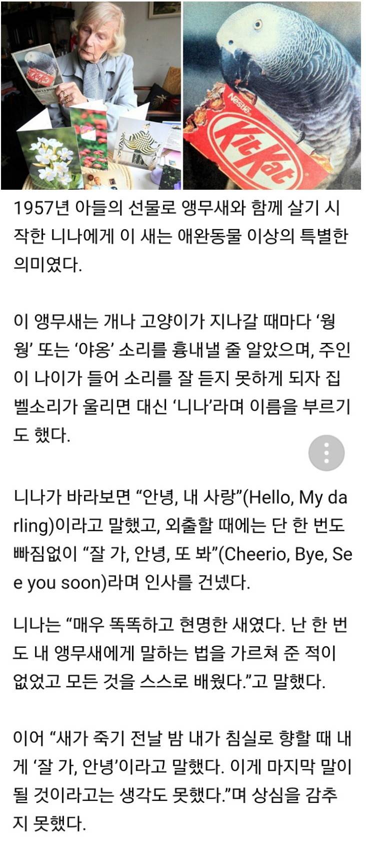  55년 살았던 앵무새의 마지막 유언