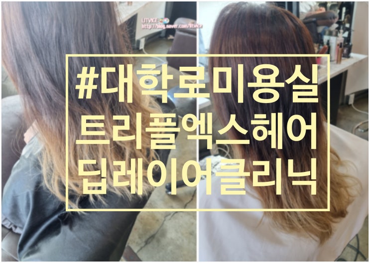 대학로미용실 트리플엑스헤어에서 딥레이어 클리닉 받고 왔어요 대학로미용실 트리플엑스헤어에서 딥레이어 클리닉 받고 왔어요