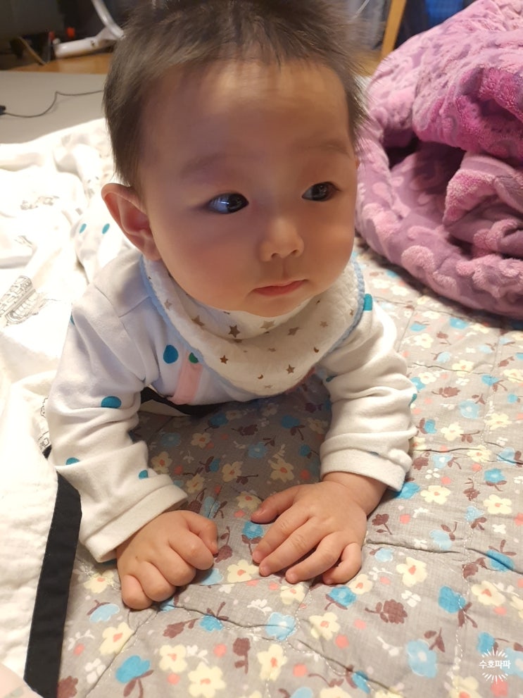  오늘의 일상_ 수호 맡기고 건강검진 가는 날~~