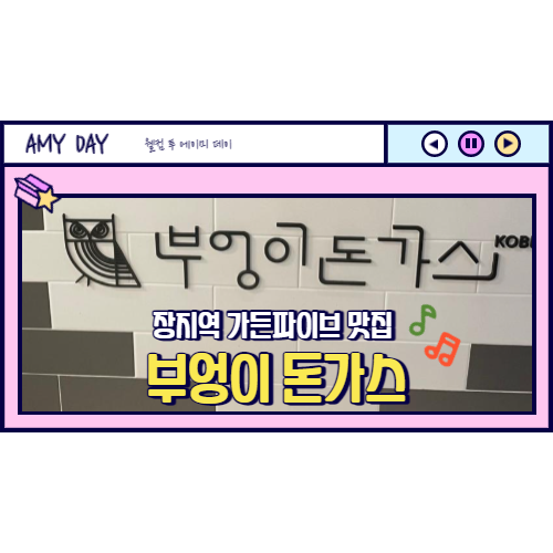  [송파] 가든파이브 맛집 혼밥도 좋은 부엉이 돈가스