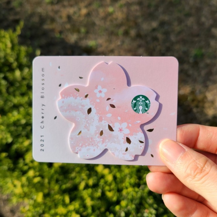 2021 스타벅스 체리블라썸(벚꽃) MD_노트키퍼, 카드 구입!!