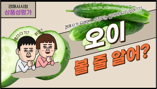  경매사가 되려면 꼭 알아야 할 채소? "오이"