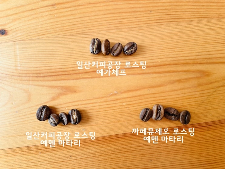  요기니의 식탁)) 일산커피공장 로스팅, 에티오피아 예가체프 시음 + 모카포트사용법과 문제해결법