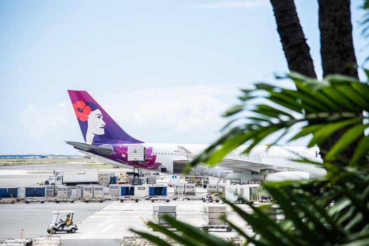  하와이안항공(Hawaiian Airlines), 인천공항 승객 대상 사전 등록 프로그램 도입…입국 시 대기시간 감소