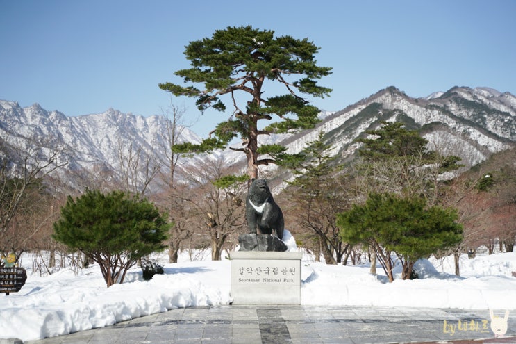  설악산 케이블카 & 척산족욕공원 속초 힐링여행