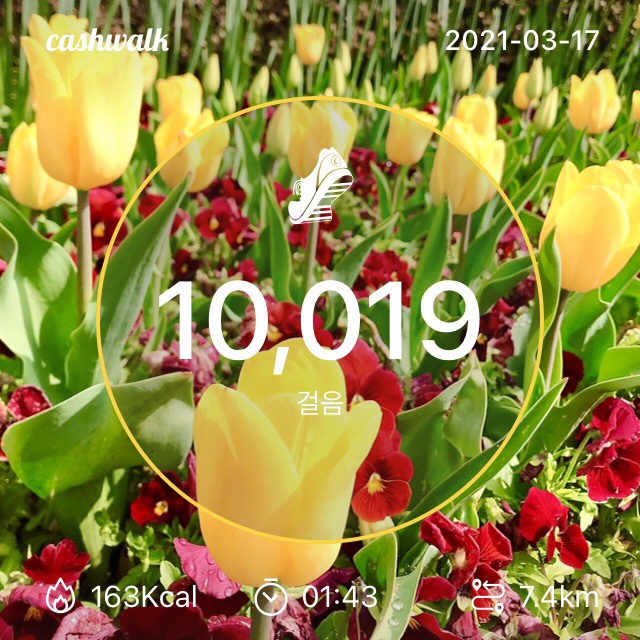  나와의 하루약속 100일 실천 (D day) 성공!! 감사했습니다