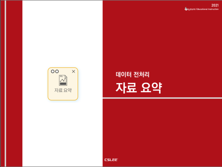  [빅재미 BigZAMi] 데이터 전처리ㅣ자료 요약