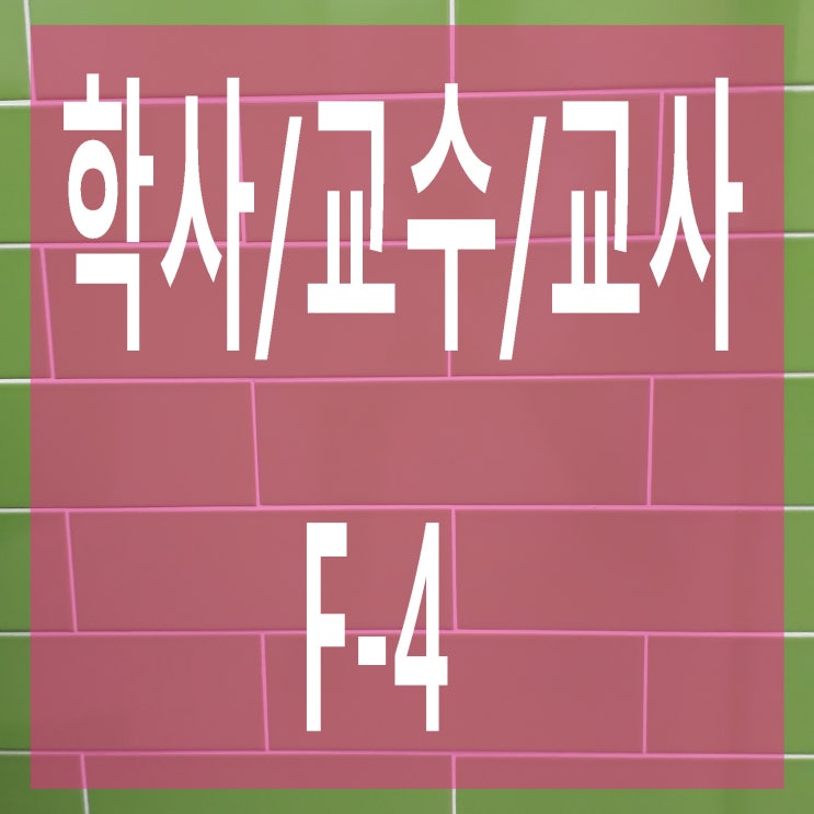  국내 고등학교와 국내외 대학교 졸업자, 교수 및 교수에게 F-4 (재외통포)자격부여