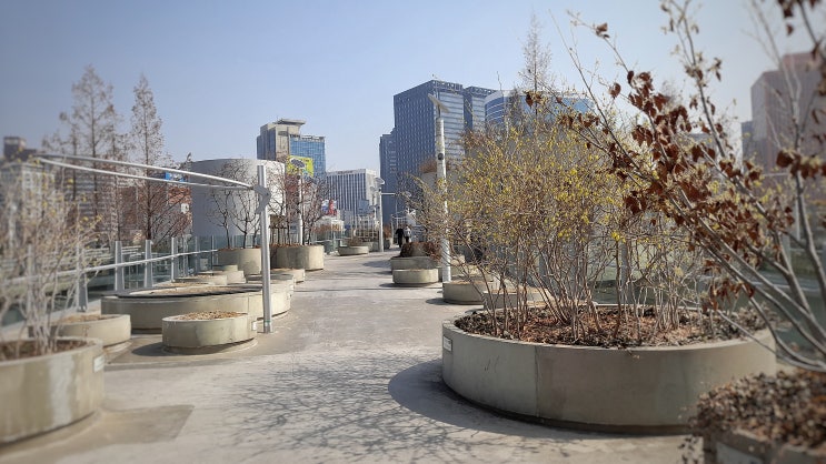 서울 도심 산책 명소 서울로 7017