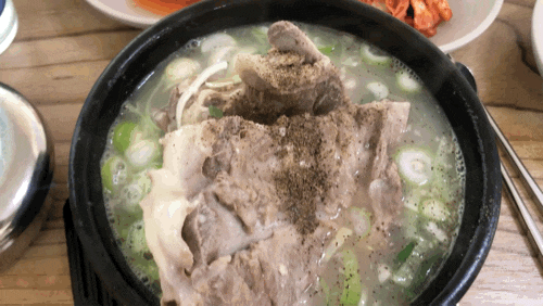  제주 도두동 향토음식점 접짝뼈국  도두항식당